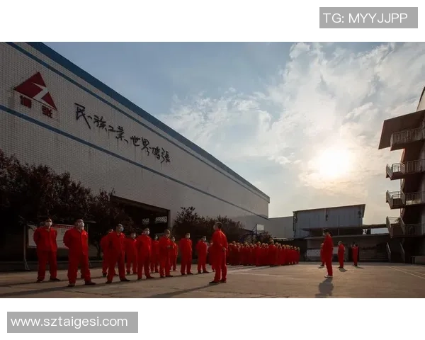 重庆羽毛球队的转型之路深度解析与未来展望