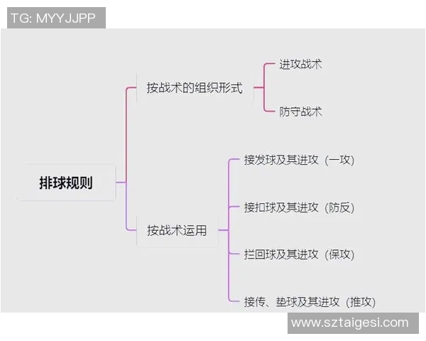 西安排球队中路突破战术解析与深度剖析 西安排球队中路突破战术解析与深度剖析
