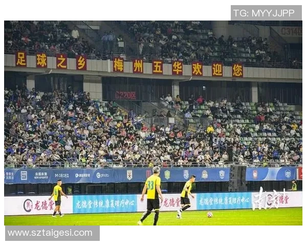 巴西足球明星观赛时间揭秘球迷必看精彩赛事安排与明星出席信息