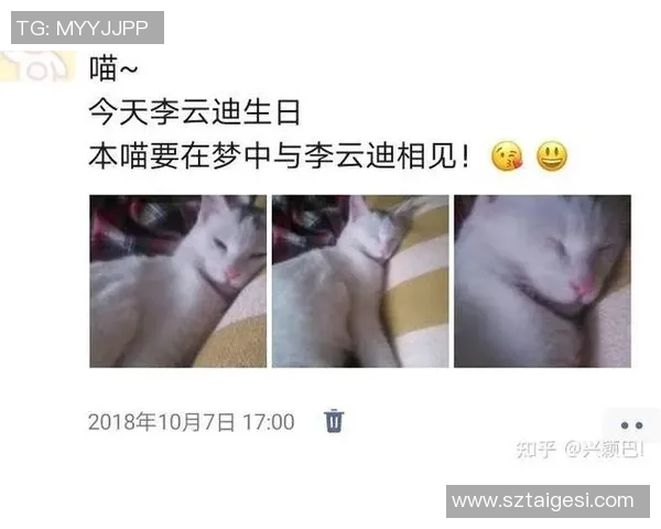 足球明星塌方事件背后的真相与影响分析揭秘 足球明星塌方事件背后的真相与影响分析揭秘