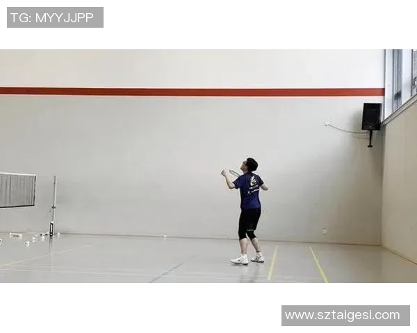 成都羽毛球队的战术解析与控制策略深度剖析